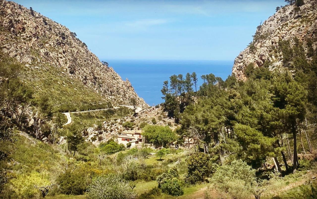 Finca Ses Fontanelles Andratx  Exterior foto
