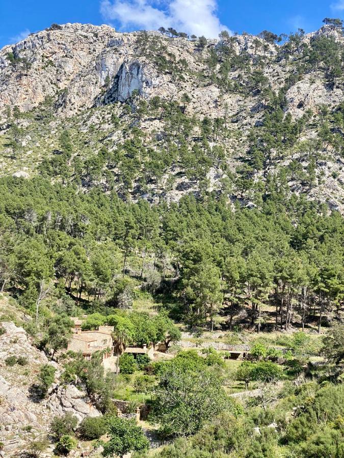 Finca Ses Fontanelles Andratx  Exterior foto