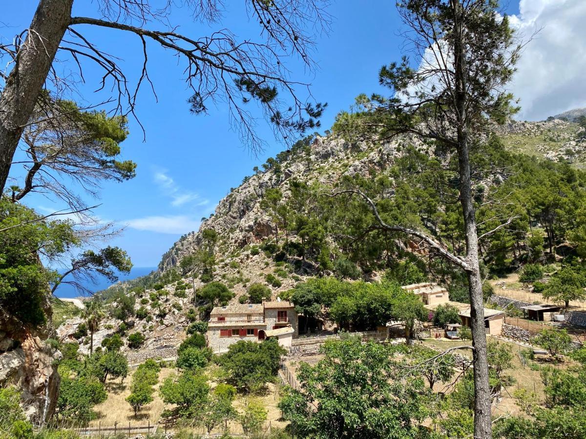 Finca Ses Fontanelles Andratx  Exterior foto