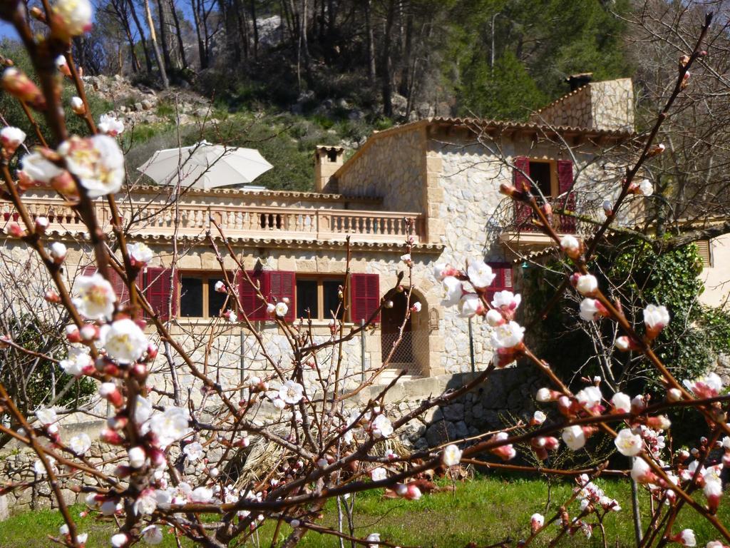 Finca Ses Fontanelles Andratx  Exterior foto