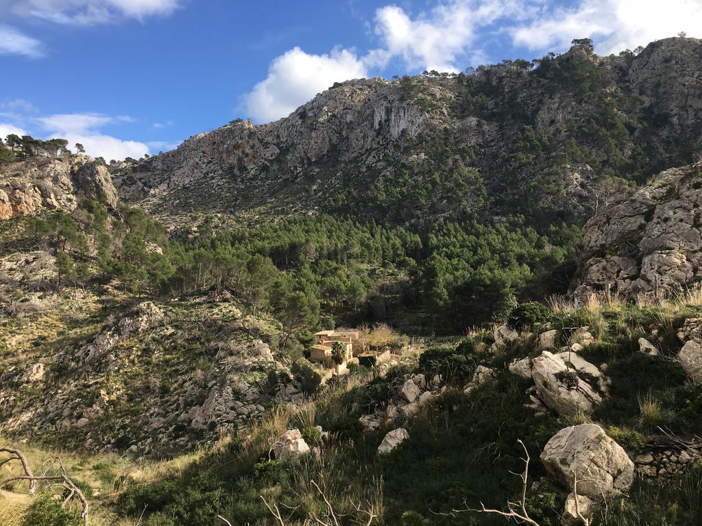 Finca Ses Fontanelles Andratx  Exterior foto