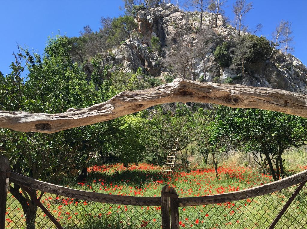Finca Ses Fontanelles Andratx  Exterior foto