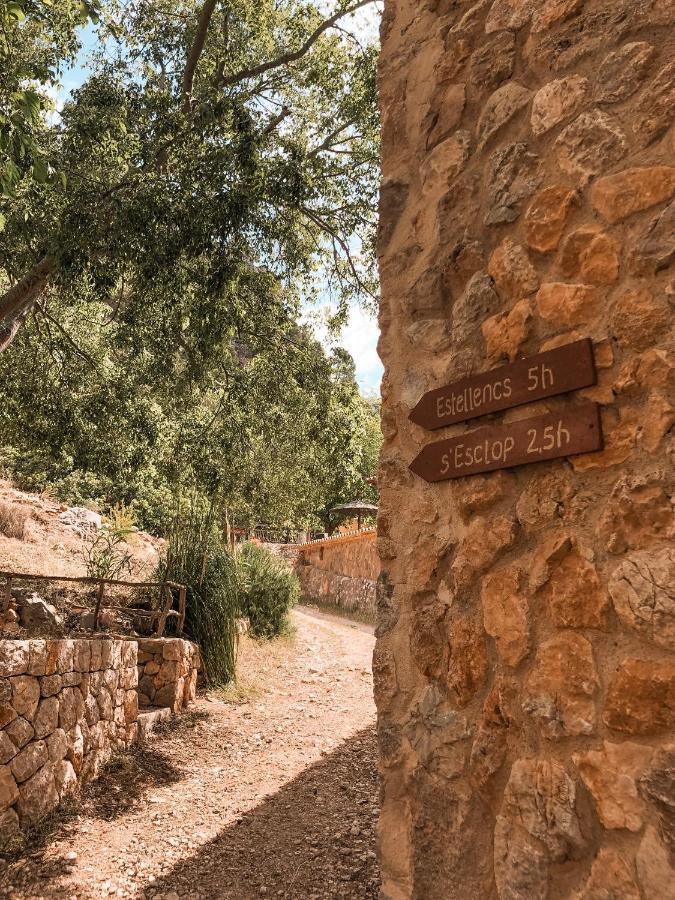 Finca Ses Fontanelles Andratx  Exterior foto